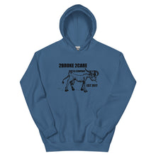 Load image into Gallery viewer, 2 broke 2 care Unisex Hoodie